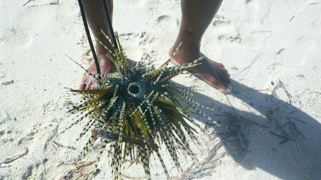 Вера Кондакова | Shenzhen