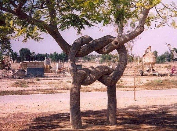 Максим Гулида | 