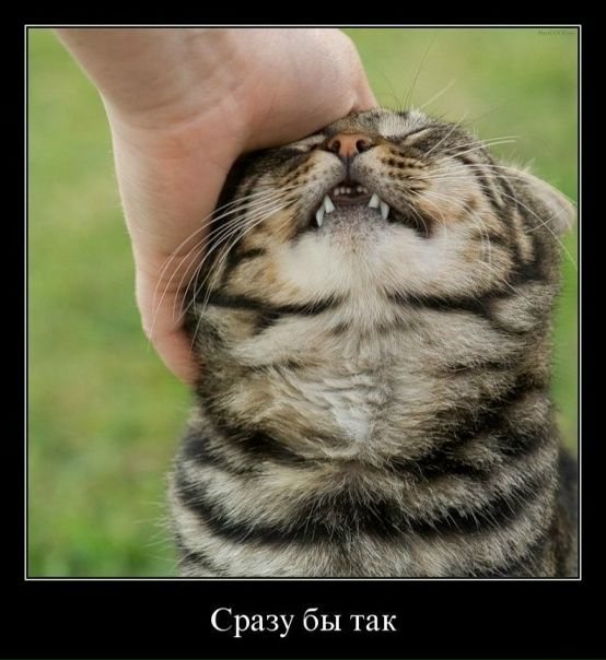 №108, Юрий Романенко, Киев №108, Юрий Романенко, Киев