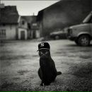 Фотография Антон Семикин