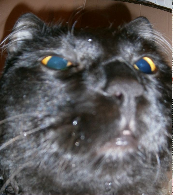 Евген Абрамов | Москва