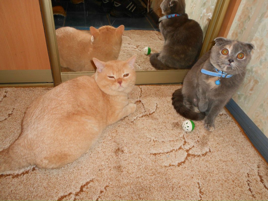 Катюшечка Камышева | Нижний Новгород