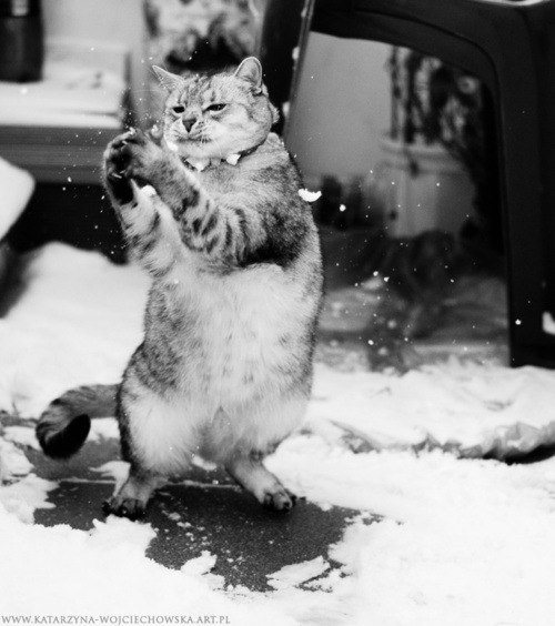 Лиза Бисерова | Пермь