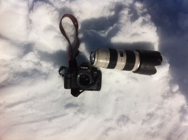 Анна Жданникова | Москва