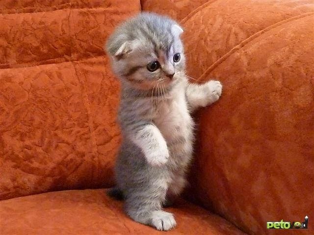 Ольга Александрова | Одесса