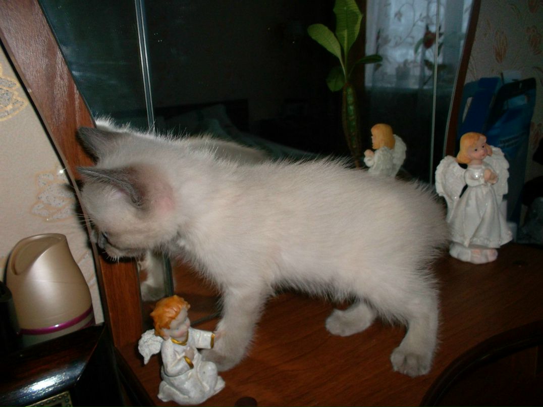 Наталья Апполинарьева | Валдай