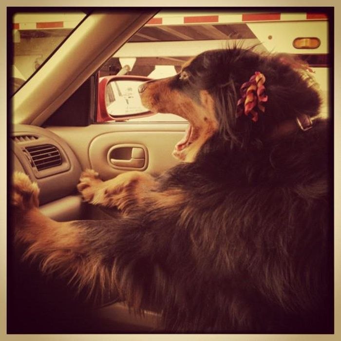 Андрей Афонин | 