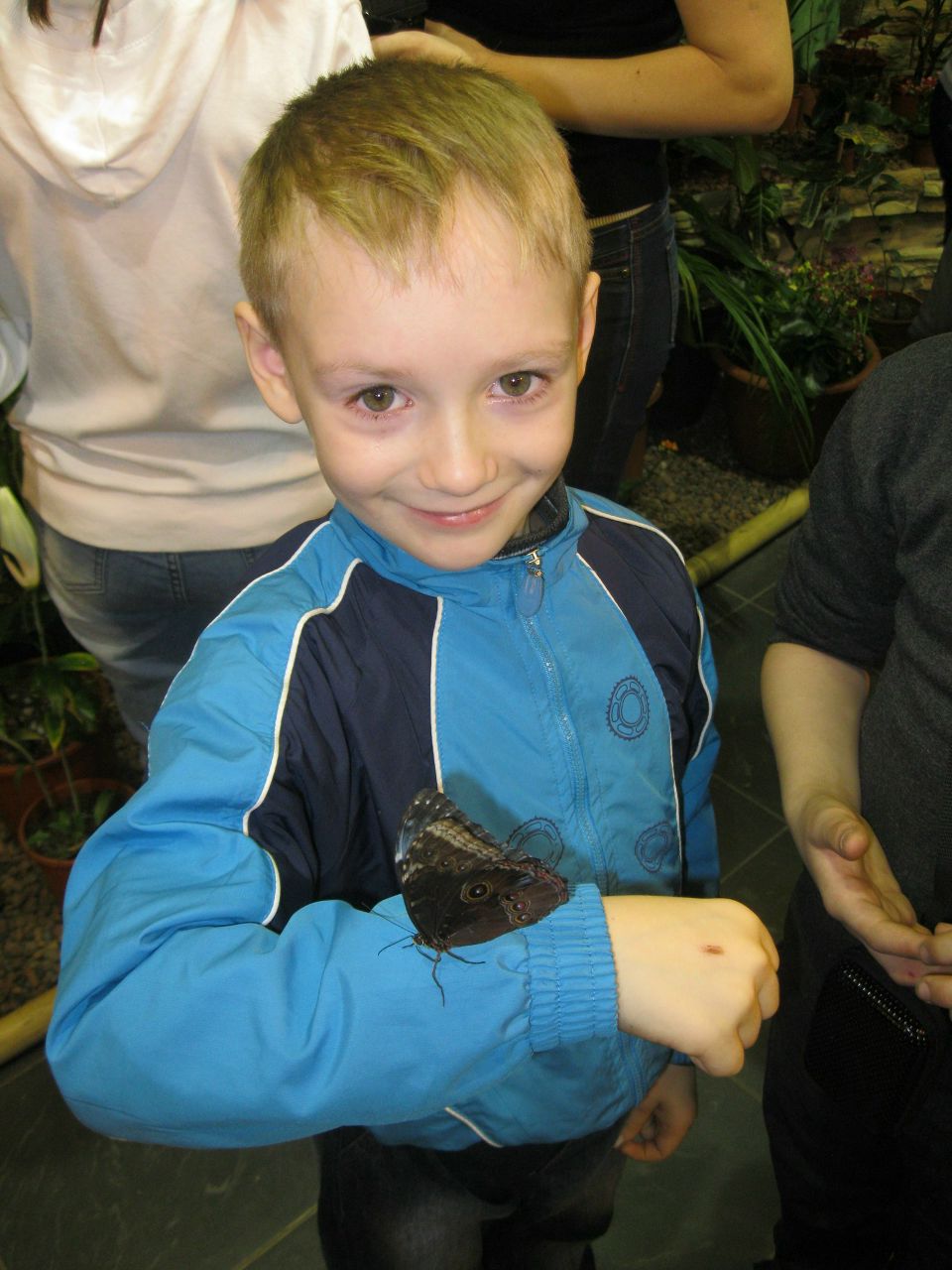 Андрон Иванов (иван) | Пушкин