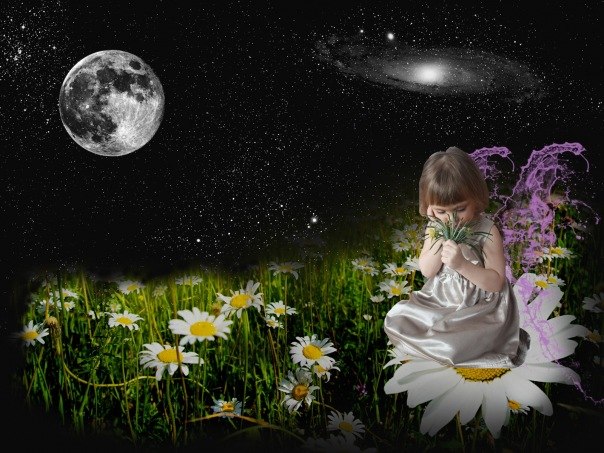 Виктория Волынская | Гатчина