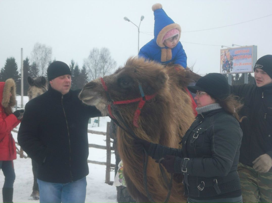Виктор Васинцев | Череповец