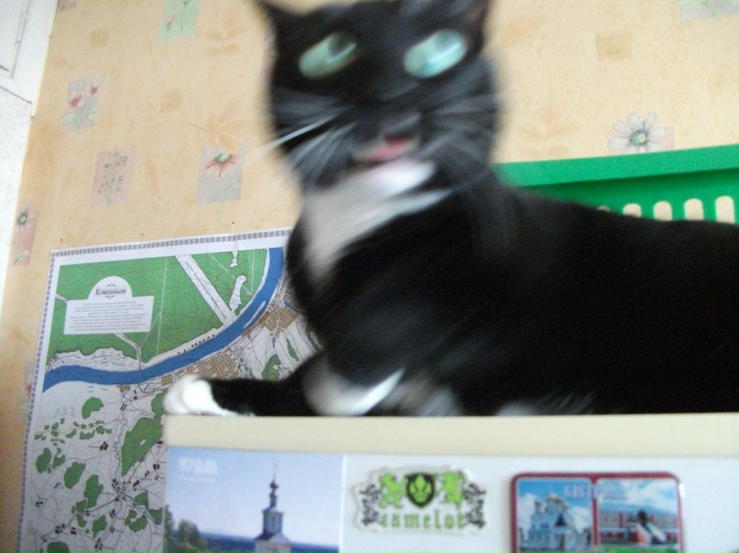 Милана Федорова | Пермь