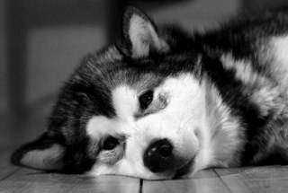 Анна Владимировна | Киев