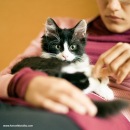 №29 Марина Некрасова-Гутор 29.07.1988: профиль, фото, статус - ВКонтакте №29 Марина Некрасова-Гутор 29.07.1988: профиль, фото, статус - ВКонтакте