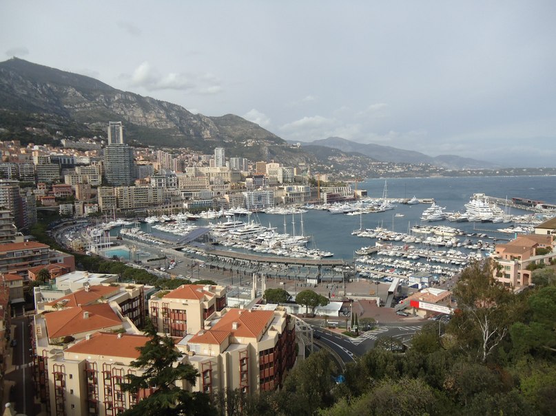 Мария Зайцева | Baar