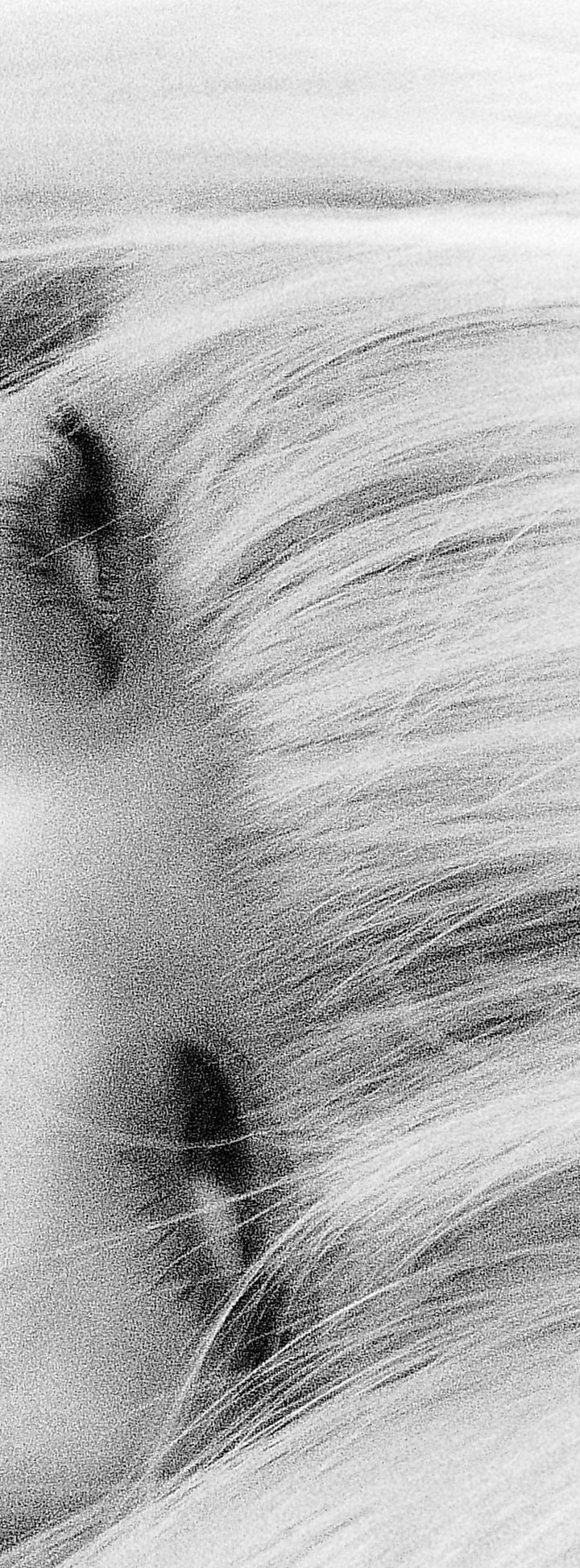 Алёна Речкалова << Flame cat>> | Светогорск