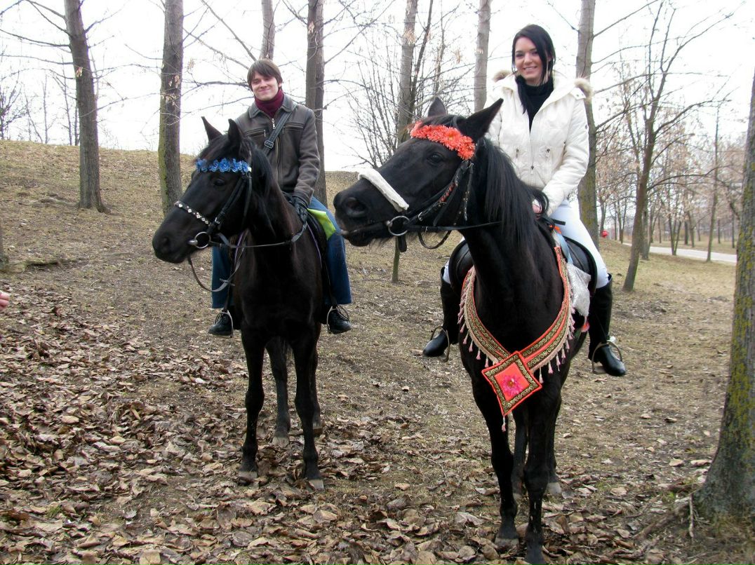 Николай Городецкий Aveal Coldman | Минск