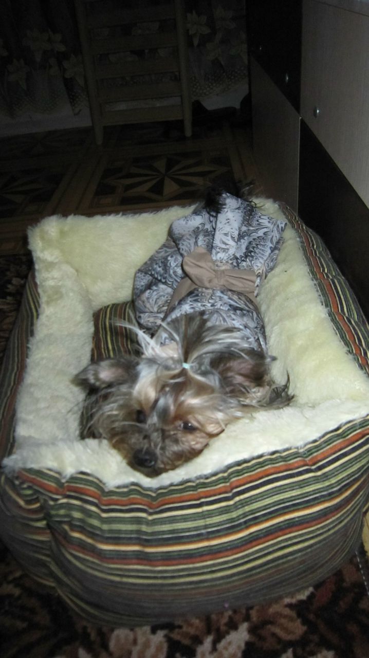 Елена Габдуллина(ягодарова) | Москва