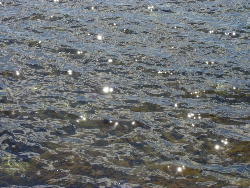 №35, Алика Павленко, Киев №35, Алика Павленко, Киев