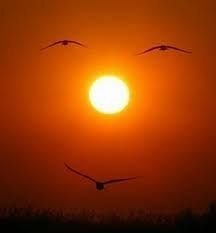 Ринат Габдулманов | Богатые Сабы