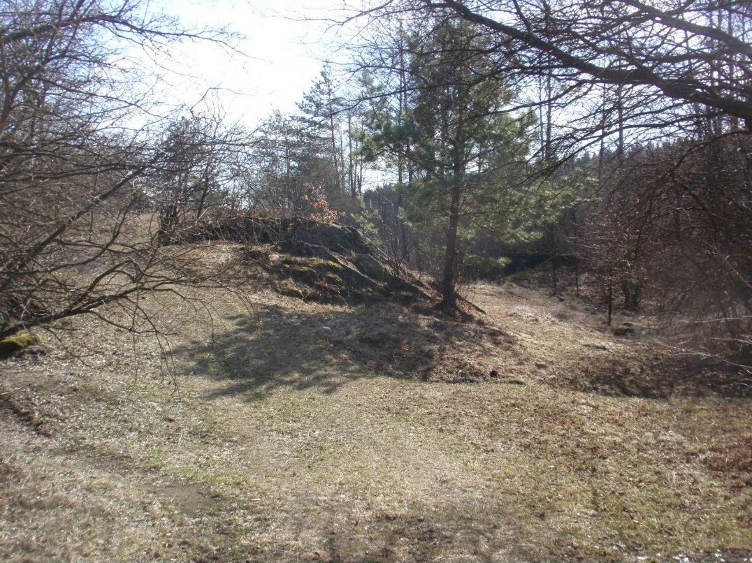 Борис Блаженний | Киев