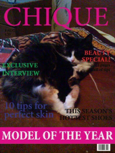 Андрей Певцов | Новосибирск