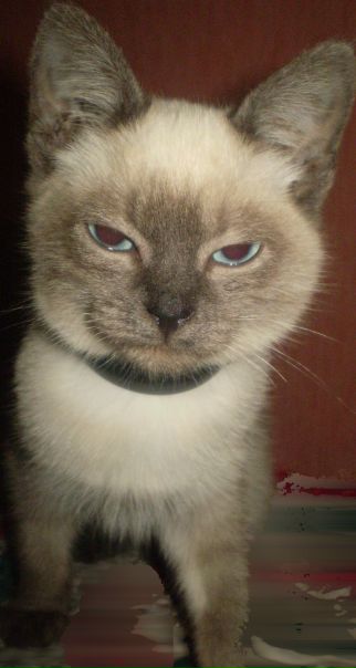 №18, Anastasiya Sergeevna, Мариуполь №18, Anastasiya Sergeevna, Мариуполь