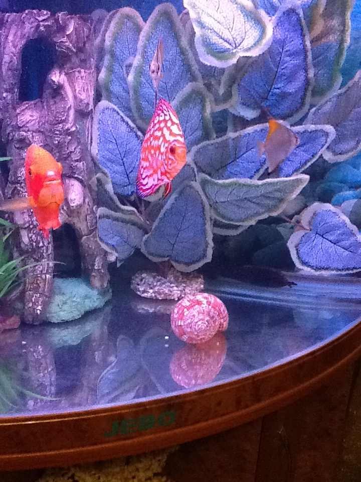 Роман Кузнецов | Казань