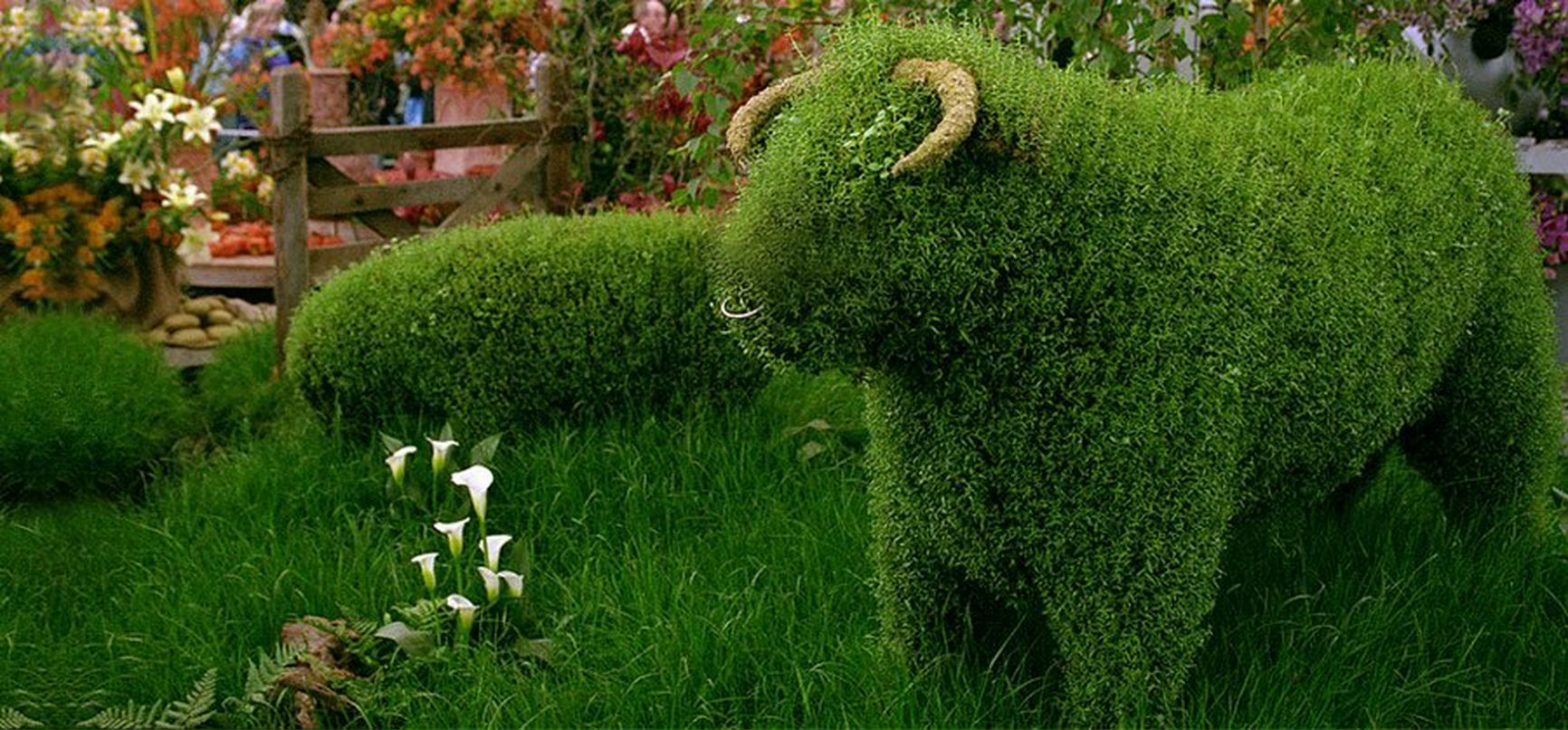 Венера Гаянова | Уфа