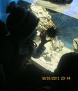 Фотография Виктория Турунцева