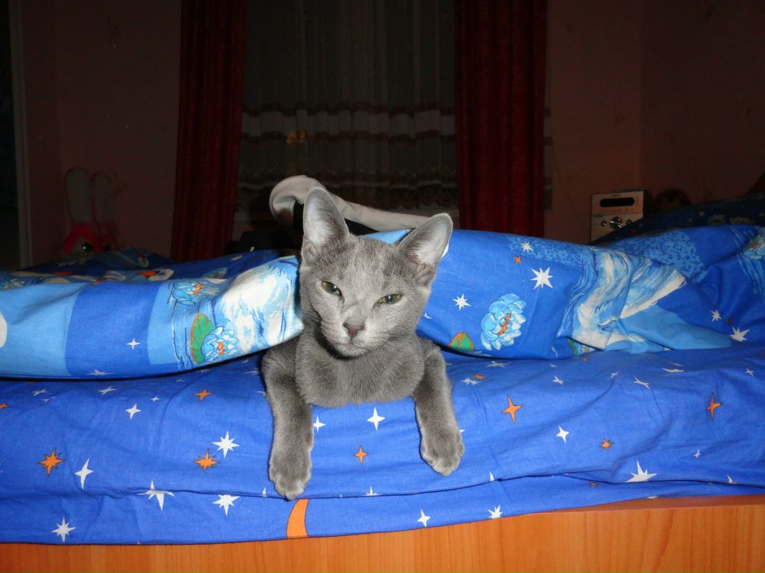 Александр Чубурин SANENA | Пермь