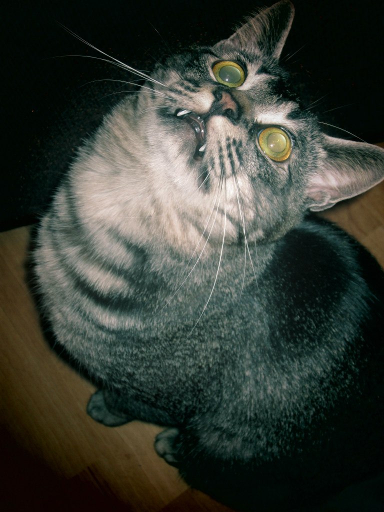 Ира Путилина ♫♪•♥¸¸.•★*•♫.♥♫♪•♥¸¸.•★ | Рязань