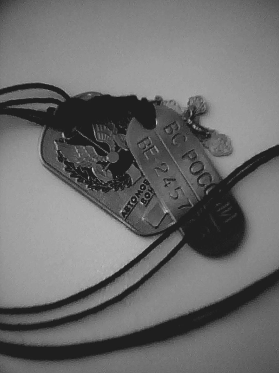 Женя Васильев Павлович | Ярославль