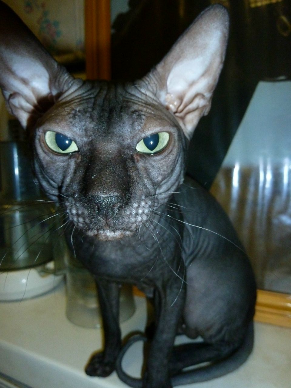 Алексей Есаков | Красноярск