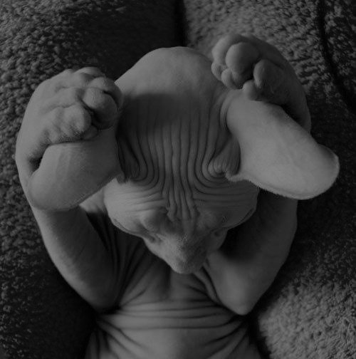 Надюша Книгова | Волгоград