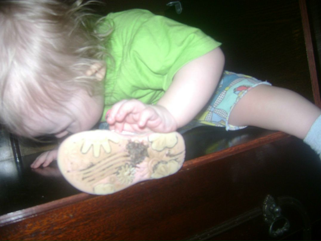 Дмитрий Макаров | Заволжье