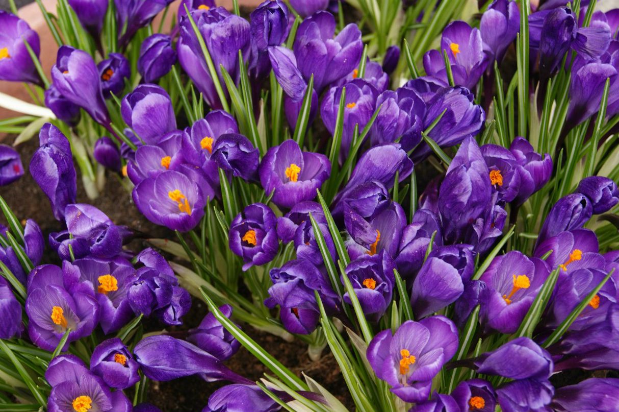 Гульнара Миргалеева | Уфа