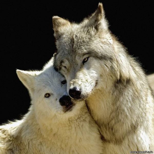 Дмитрий Федукин | Сочи