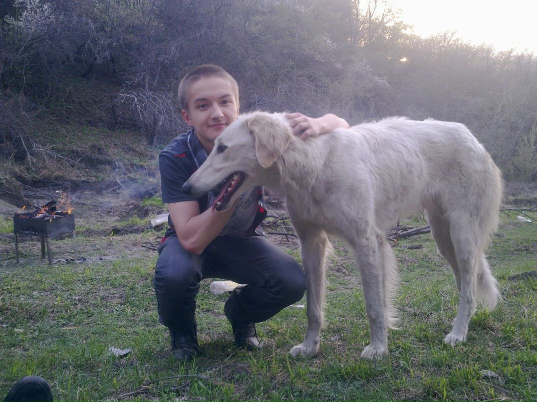 Zakir Shamsutdinov |<6| | Алматы