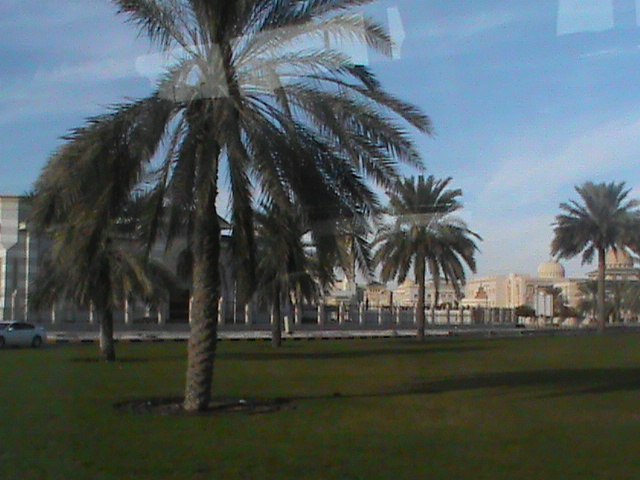 Юлия Калинина | Санкт-Петербург