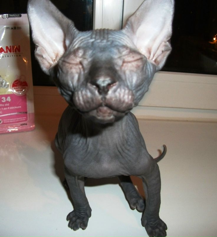 Ирина Глебко | Санкт-Петербург