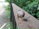 Фотография Николай Морозов