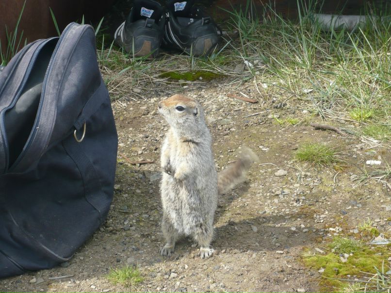 Кузя Фокин | Волгоград