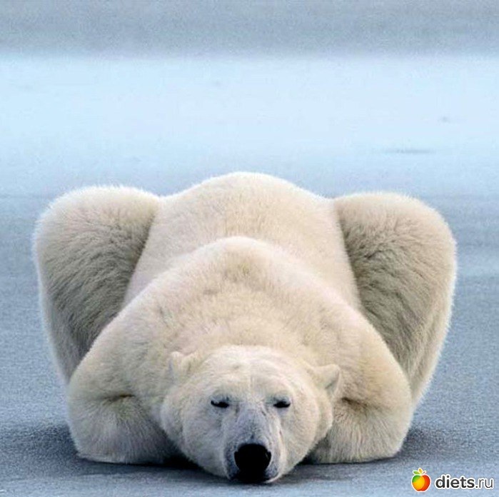 Филипп Назаров | 