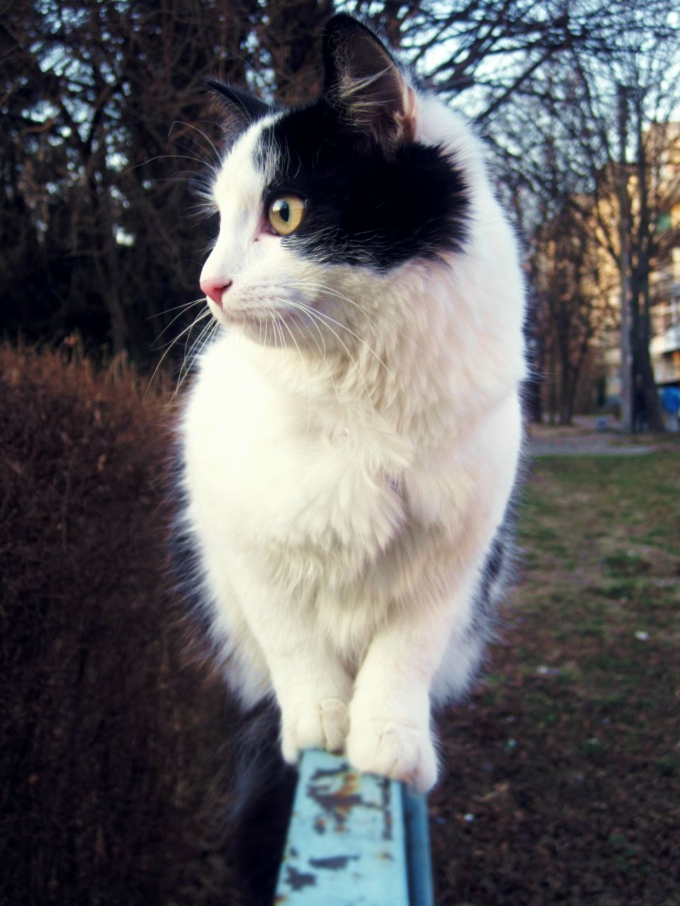 Настя Полетко | Москва