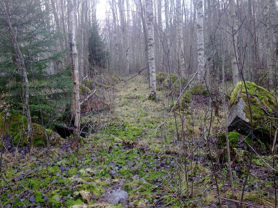 Наталья Достовалова | 