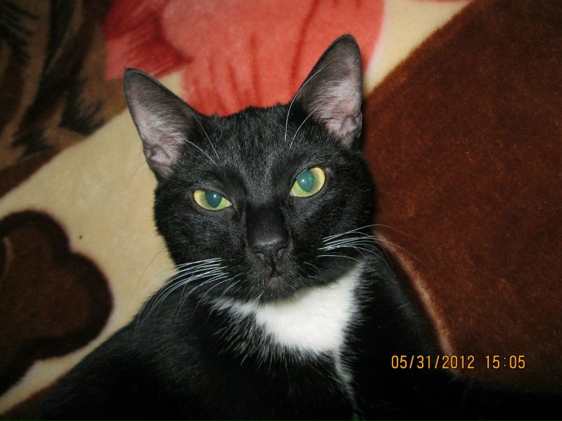 Ирина Кучина | Москва