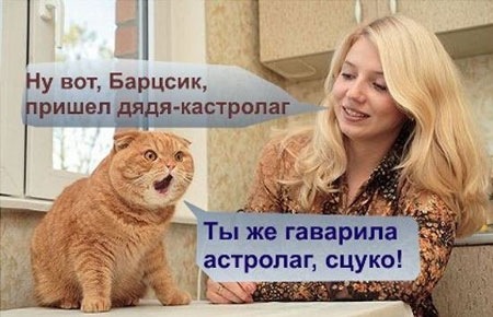 №14, №14,