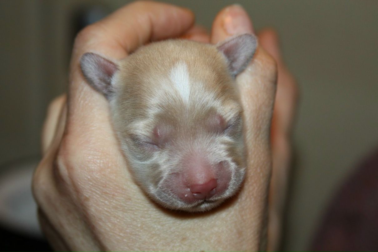 Маргарита Надыршина | Санкт-Петербург