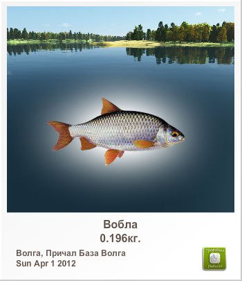 Антон Инкогнито இ ♥קƹ®Ϛ♥ईツ | Ярославль