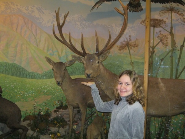 №44, Наиля Новикова, Санкт-Петербург №44, Наиля Новикова, Санкт-Петербург